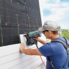 Best Siding Painting and Refinishing  in Hayneville, AL